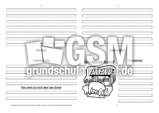 Schaf-Faltbuch-vierseitig-1.pdf